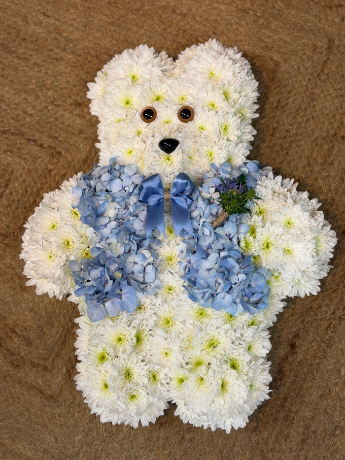 Teddy Bear