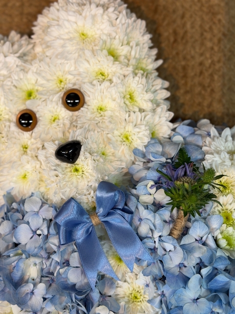 Teddy Bear