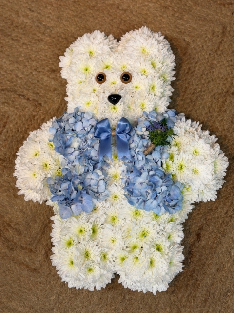 Teddy Bear