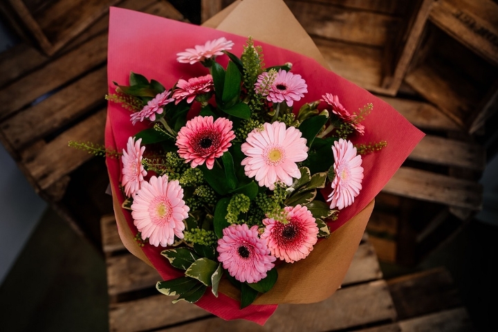 The Gerbera Dozen
