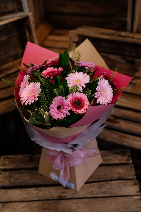 The Gerbera Dozen